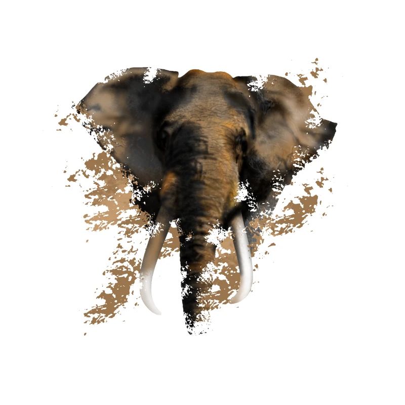 éléphant