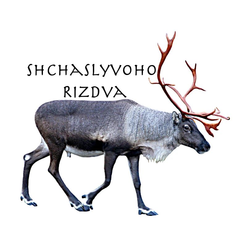 Shchaslyvoho Rizdva