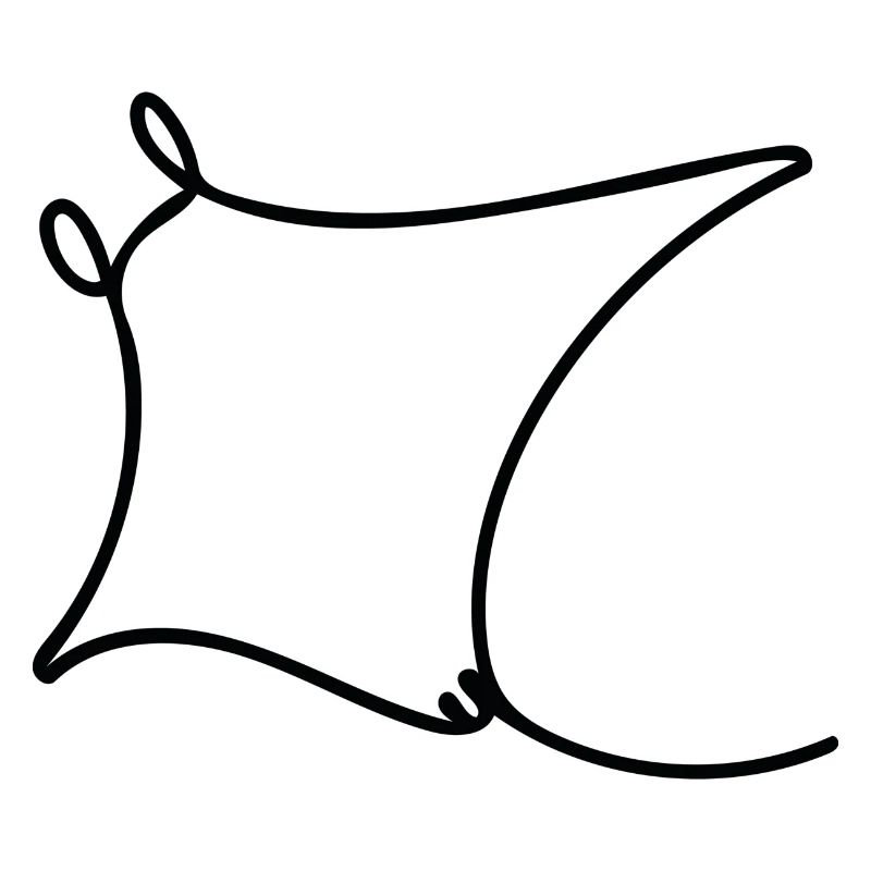 Oceanic Manta - Rochen
