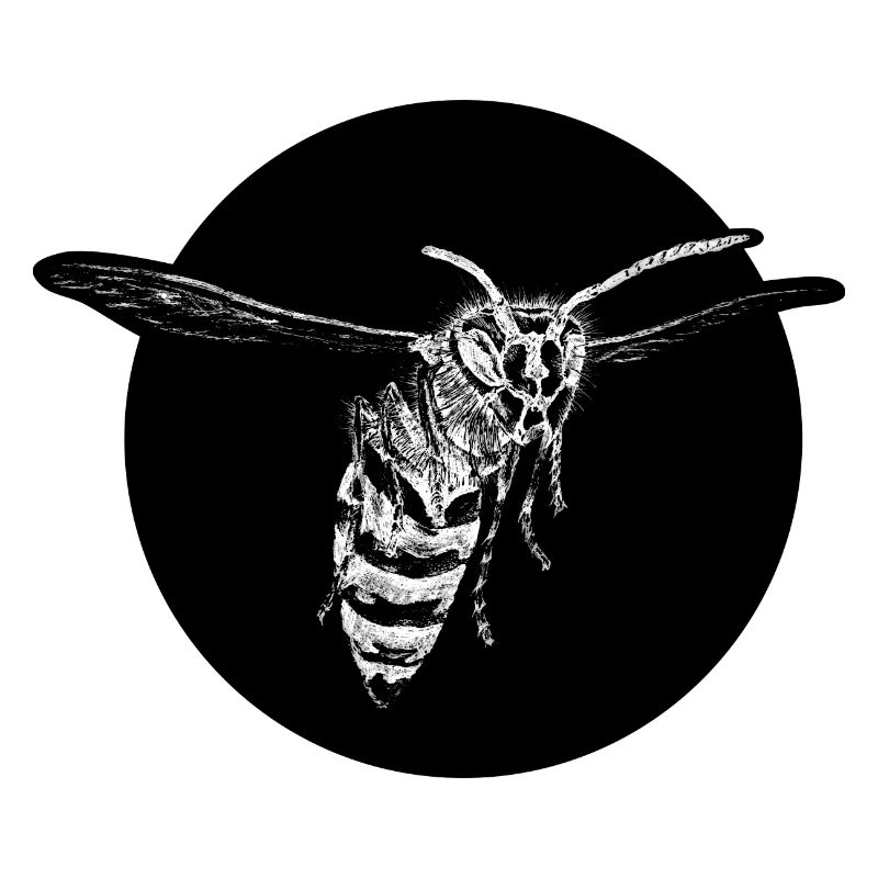 Wasp - Bee - Insect