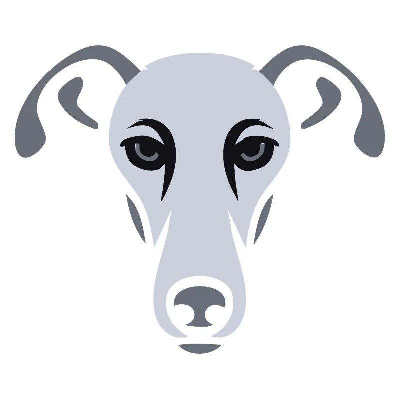 Windhund, Galgo