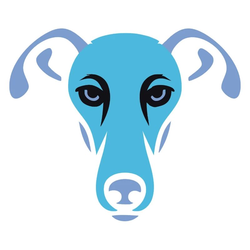 Windhund, Galgo