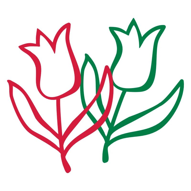 tulpen blume blüte