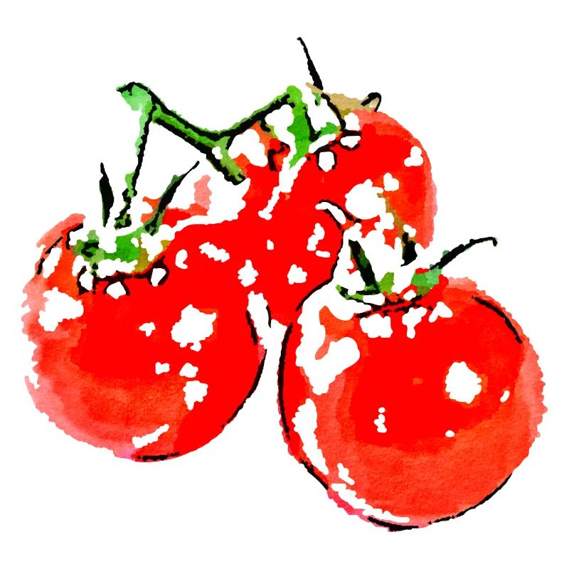 tomaten gemüse speise