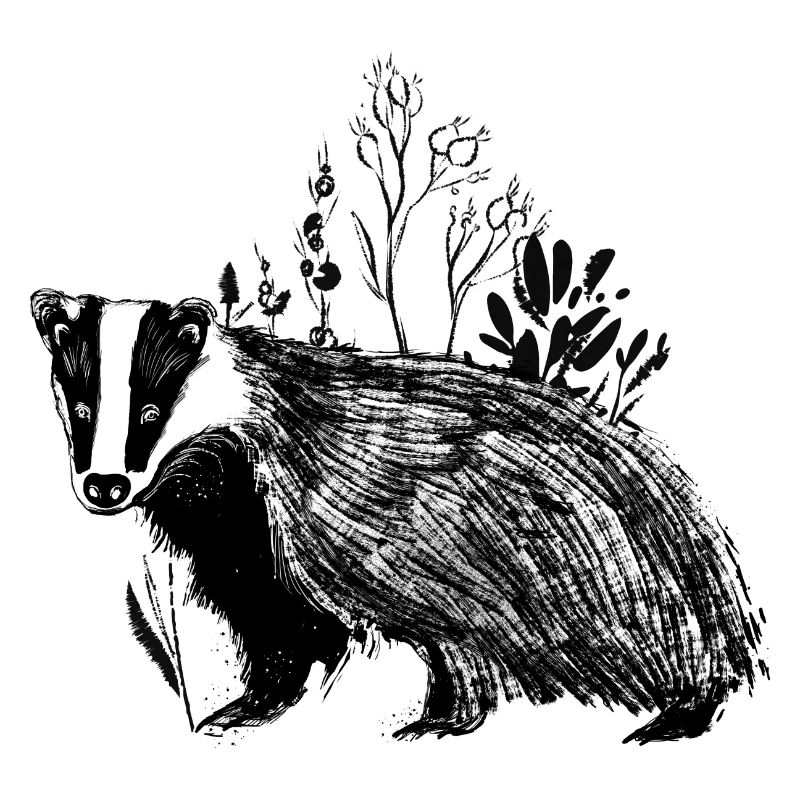 Badger in the Grass - Lined Nature