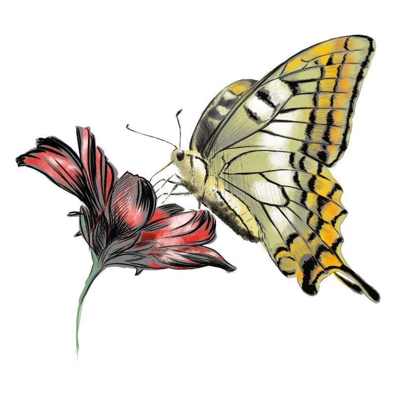Papillon en fleurs