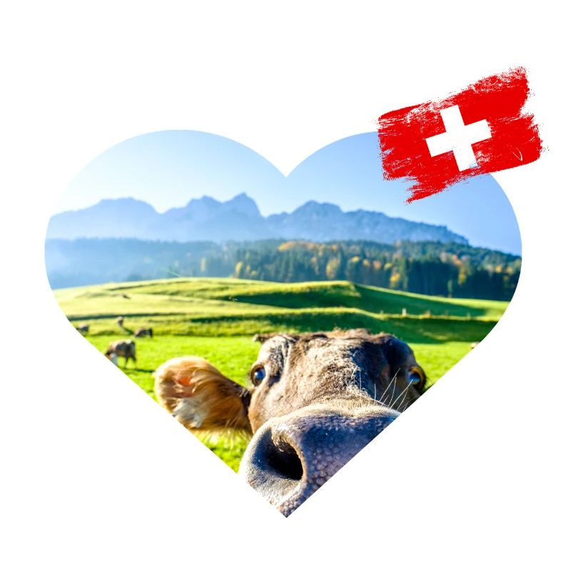 Love Schweiz