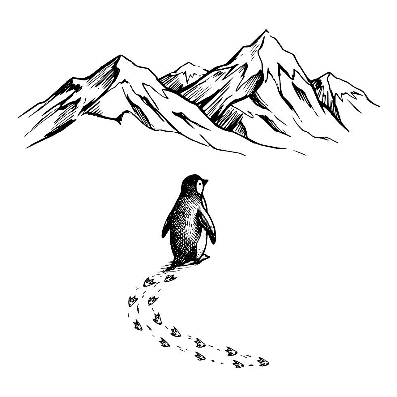 Pinguin Antarktis