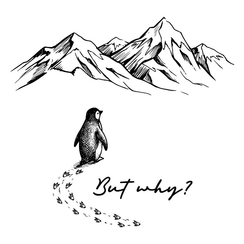 But why? Pinguin Meme Schneespur Eis Berge Schnee