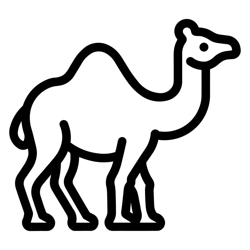 camel