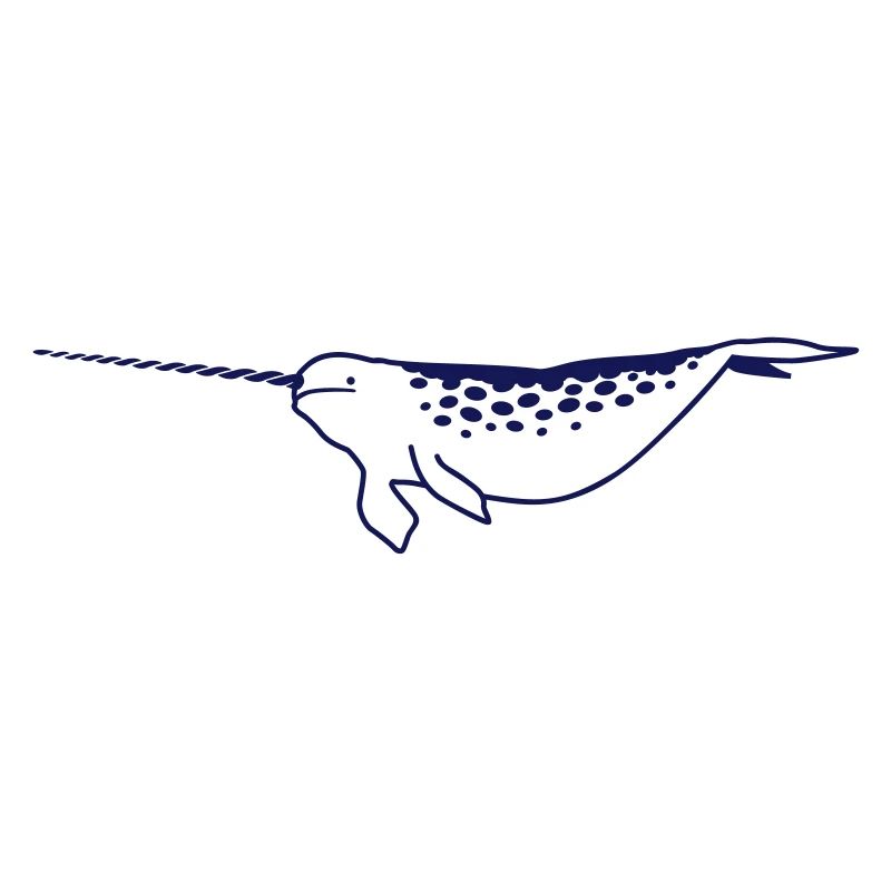 Conception de la licorne de mer narval