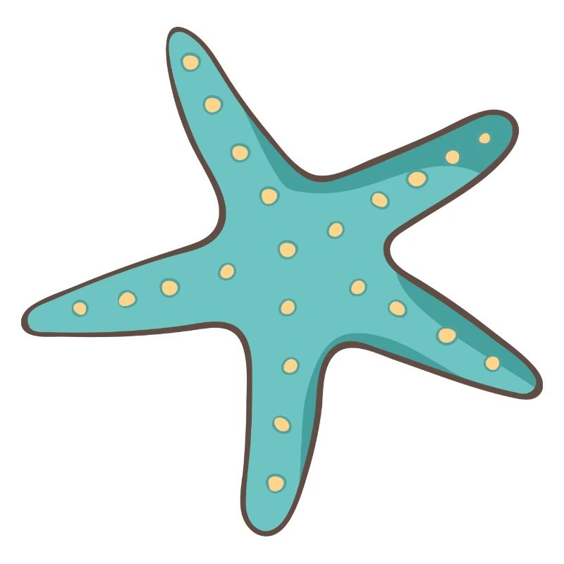 L’étoile de mer