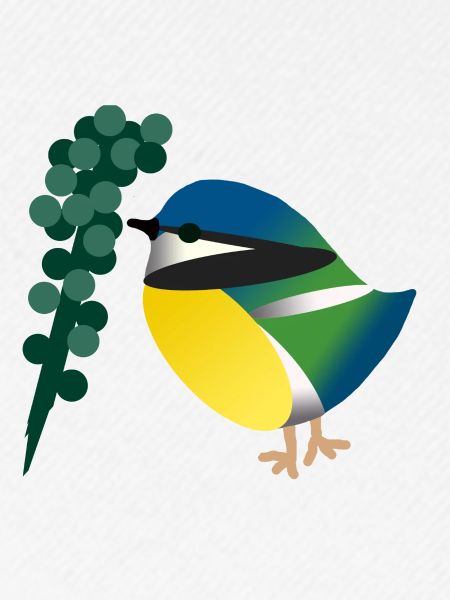 bird