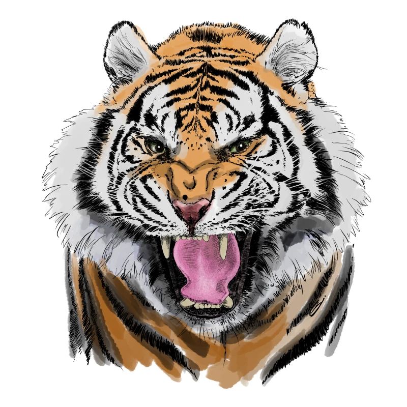 tiger