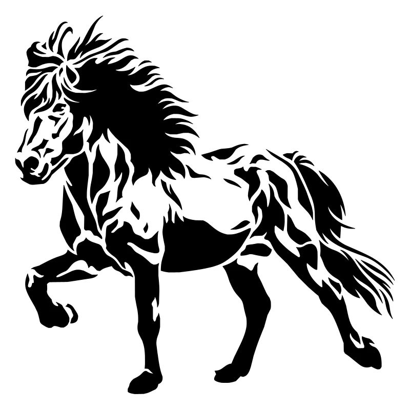 Cheval islandais de Tölting n° 4