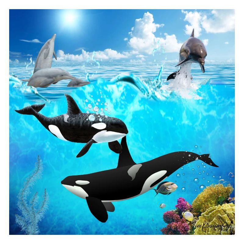 Undersea Pod: Orca and Dolphin Dive