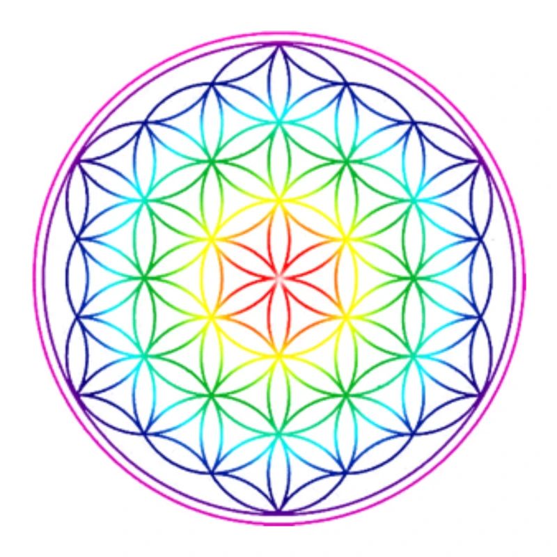 REGENBOGENBLUME DES LEBENS