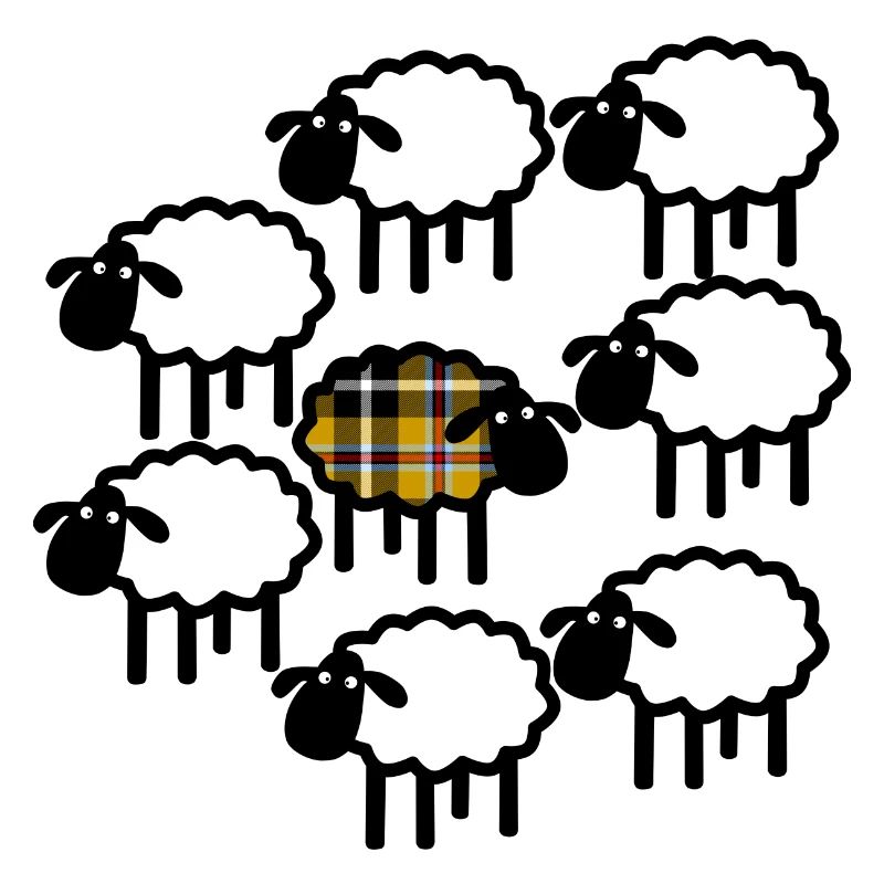 Cornish sheep don’t follow the flock