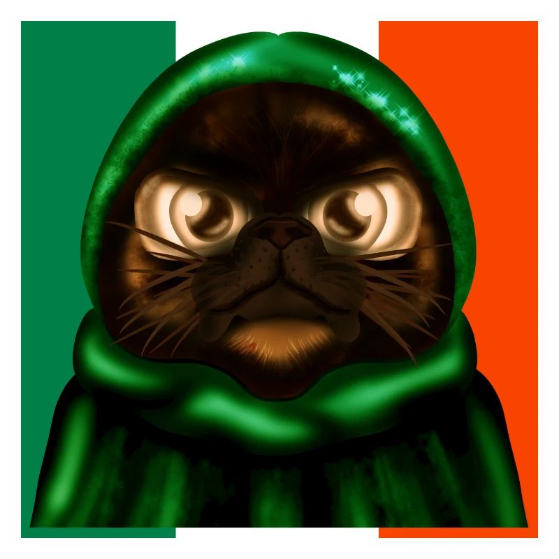 DRAPEAU IRLANDAIS - IRLANDE - CHAT MIGNON