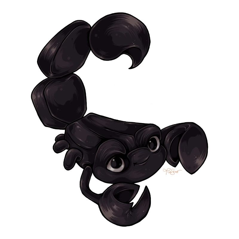 Scorpion Skorpion Sternzeichen