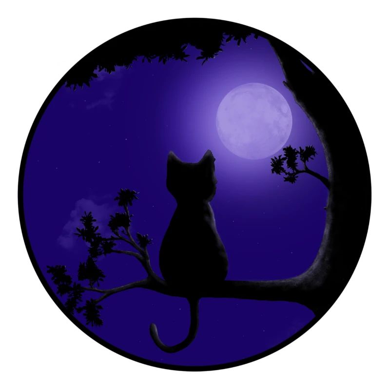 Cat Moon