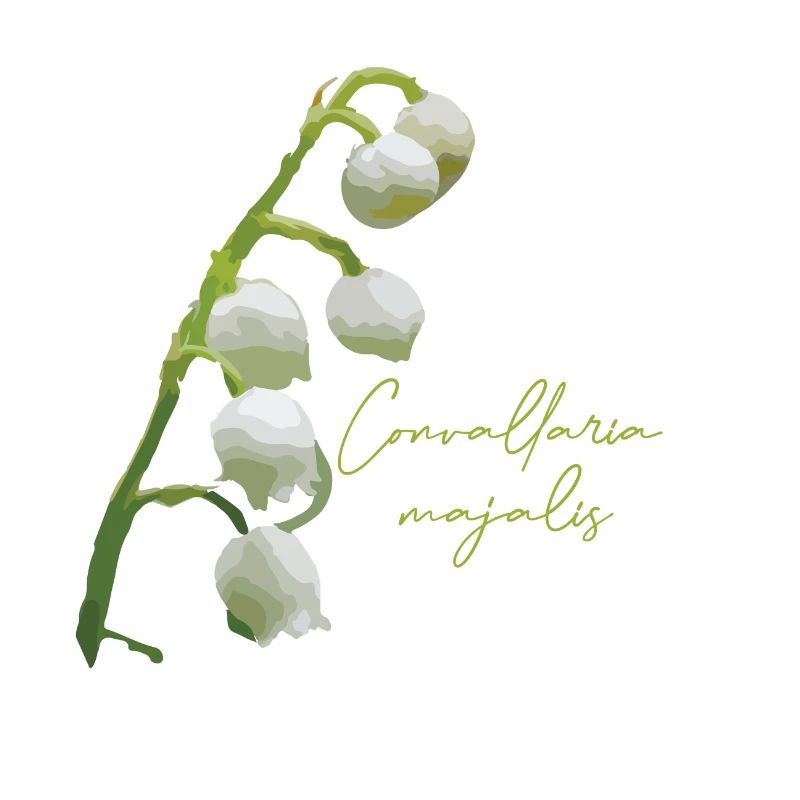 Inflorescence du muguet