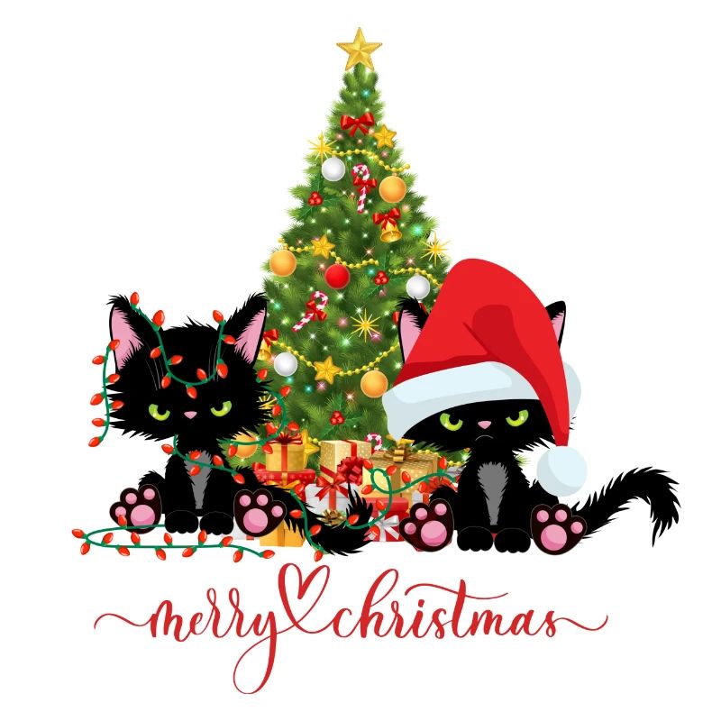 Weihnachten Katzen