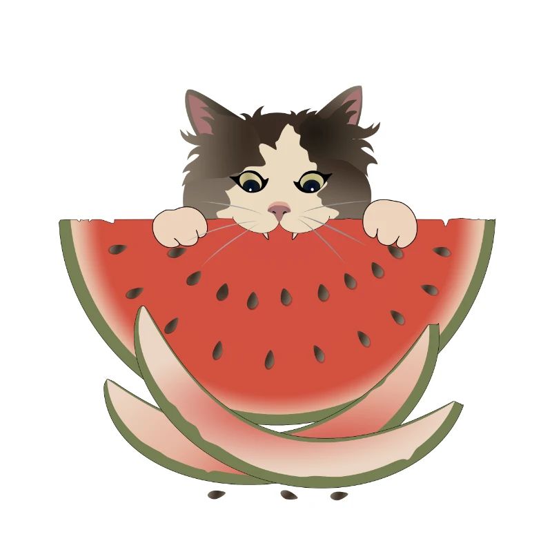 Wassermelone Delight Katze
