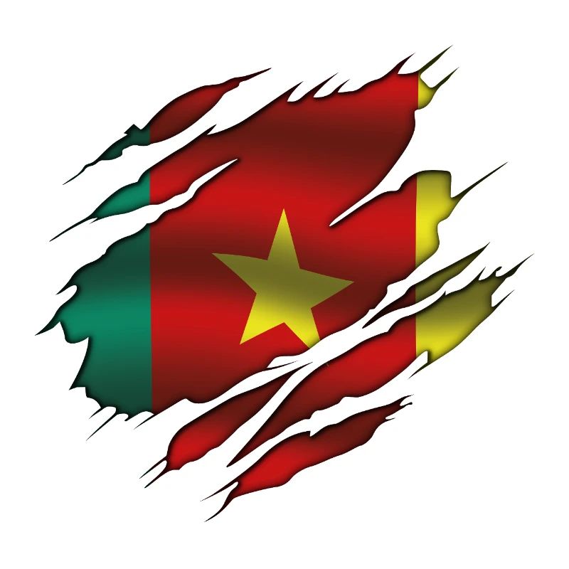 Flag of Cameroon - Cameroon - Torn Flag