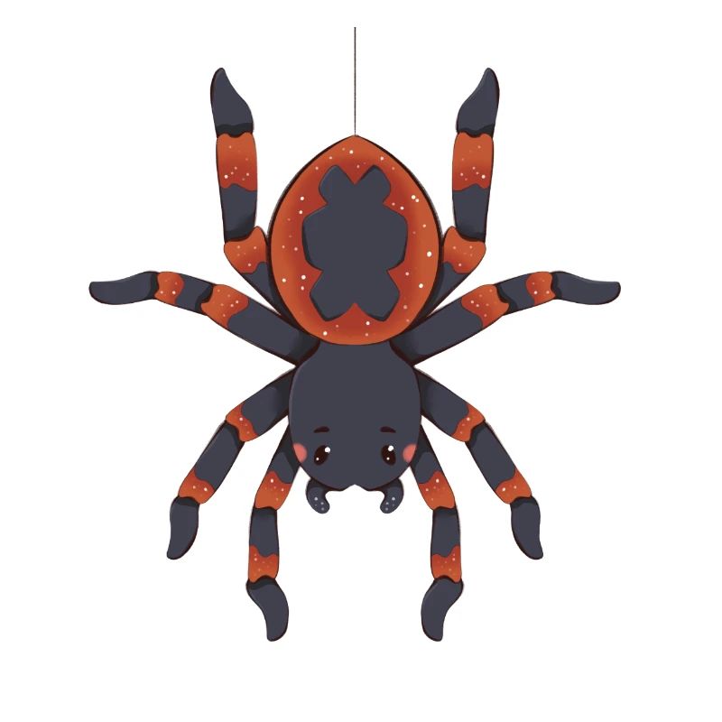 Spinne
