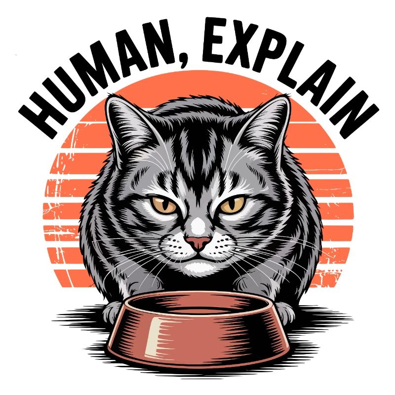 Mensch Explain Katze