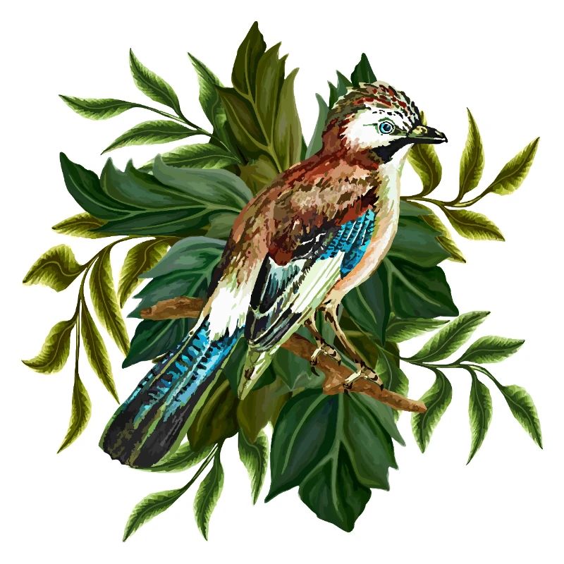 Bunter Vogel