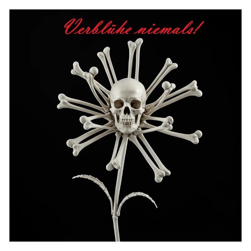 Lace décor with skull and bones