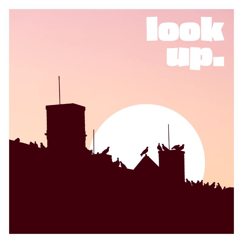 look up