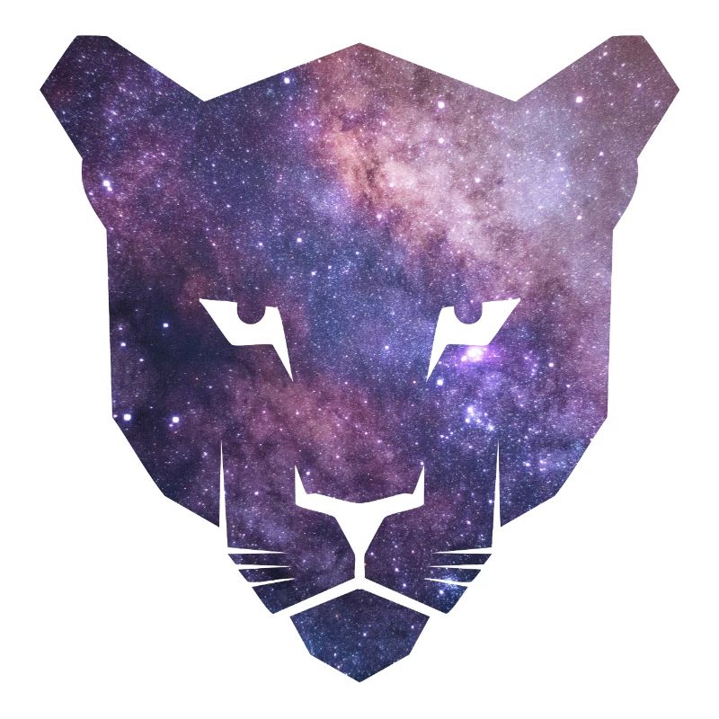 Panther silhouette with purple galaxy space