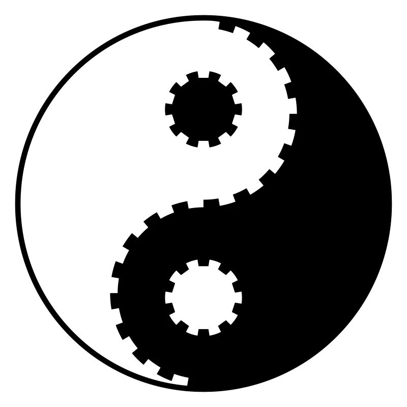 Équipement Yin Yang – Équilibre et technique asiatiques