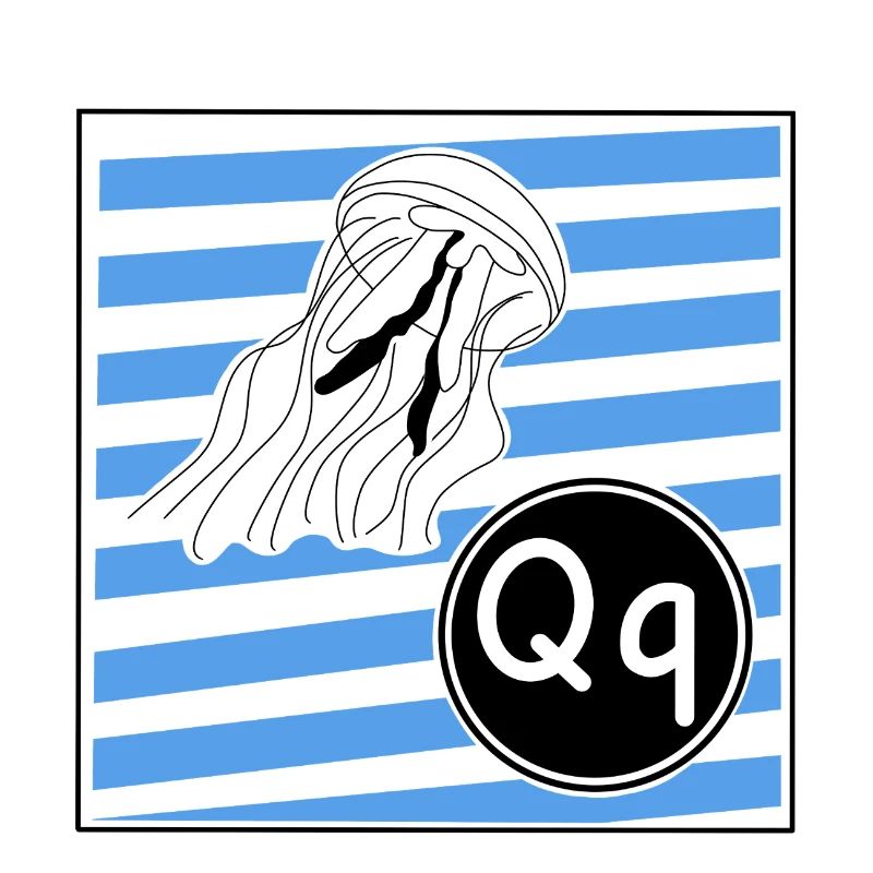 Q pour Méduse