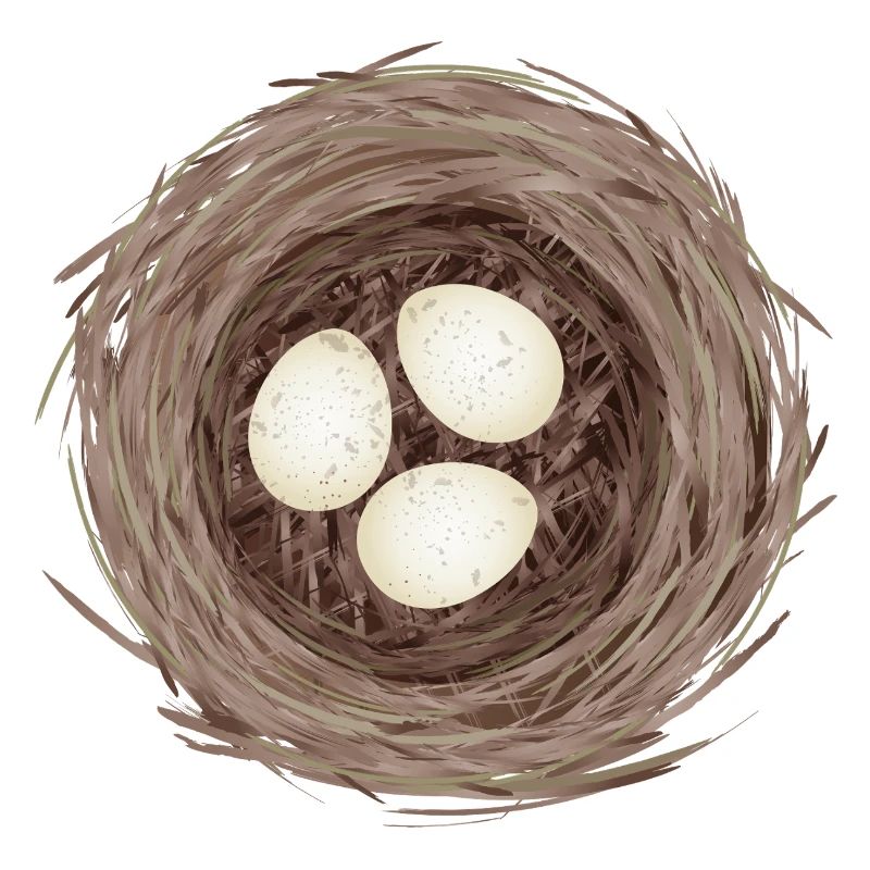 Vogelnest mit drei Eiern – Natürliche Illustration