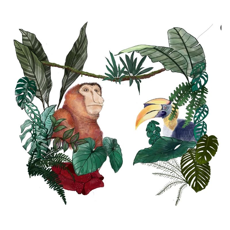 Borneo-Liebe
