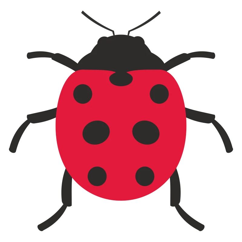 Conception de coccinelle
