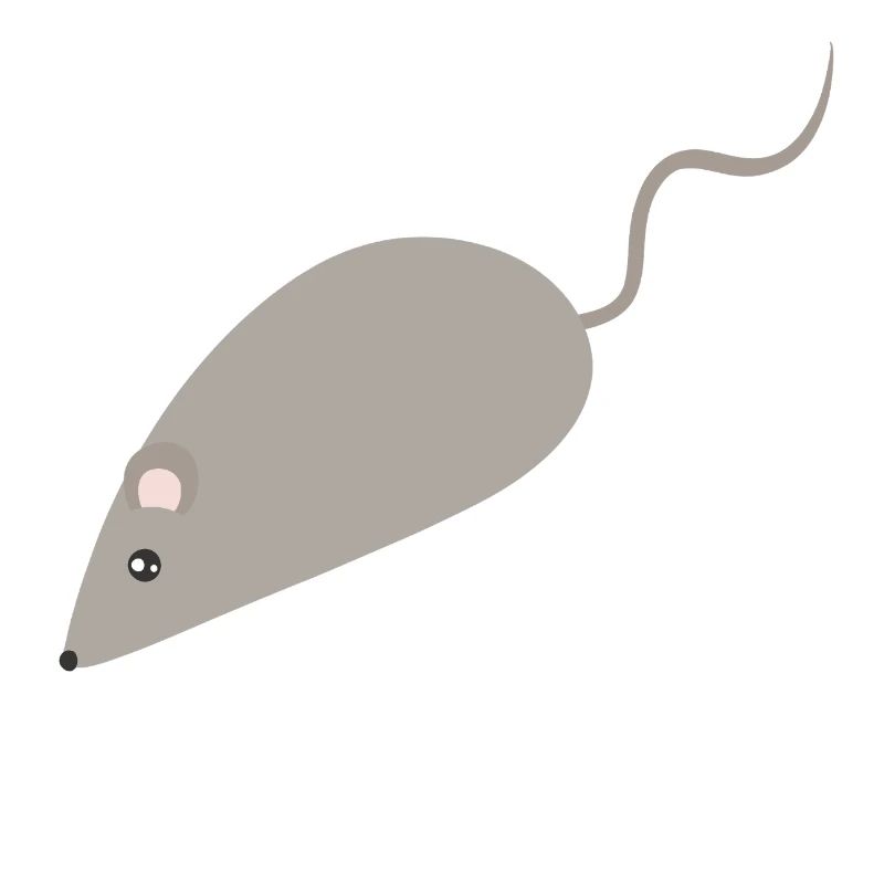 Grey Mouse Minimalist Sketch