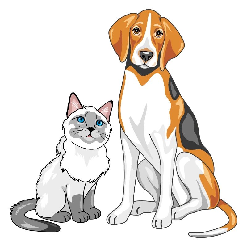 Siamese_cat_and_Foxhound_are_best_friends