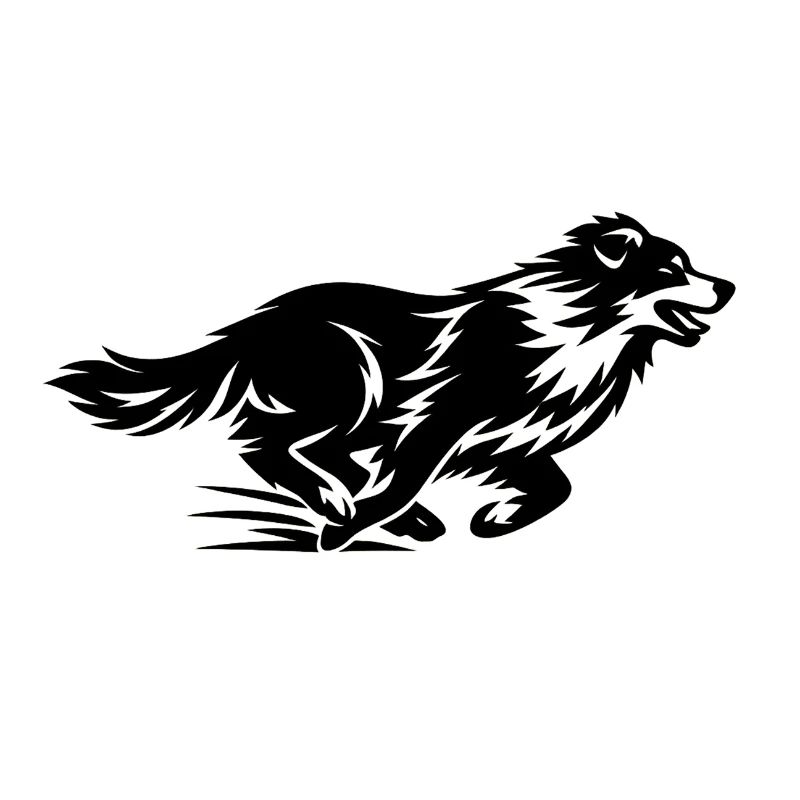 Silhouette du Border Collie en course