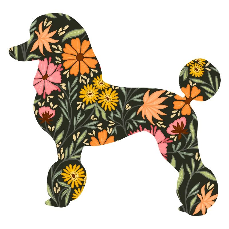 Blumenpudel Hunde Silhouette