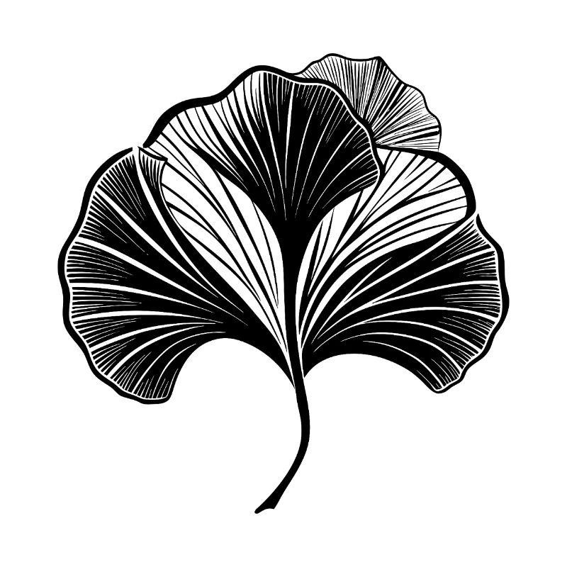Ginkgo-Blatt