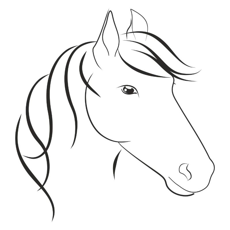 Tête de cheval avec cheval Maehne