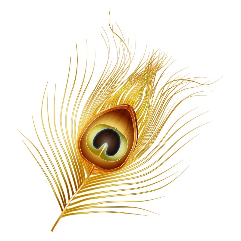 plume de paon dorée dessinée à la main