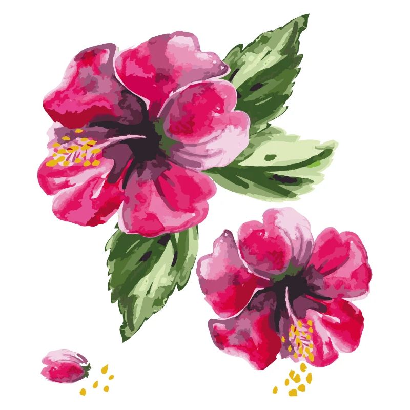 Fleurs d’hibiscus