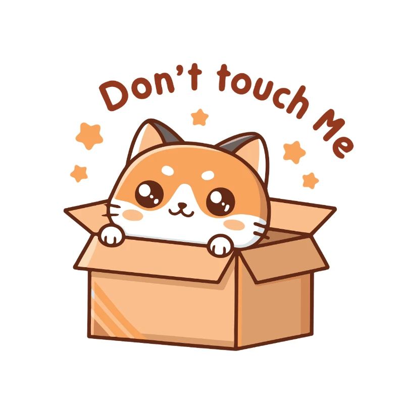 Kitten in a box Don't Touch Me