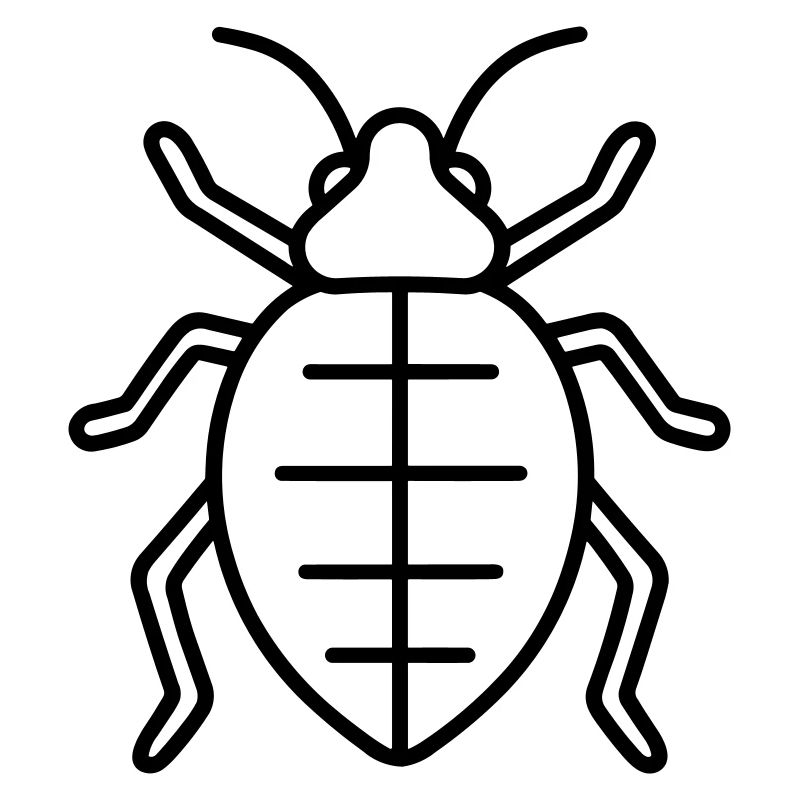 Aphid